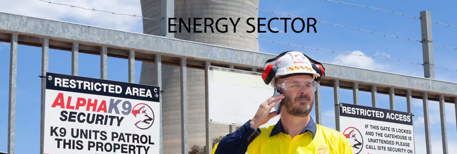 energy sector