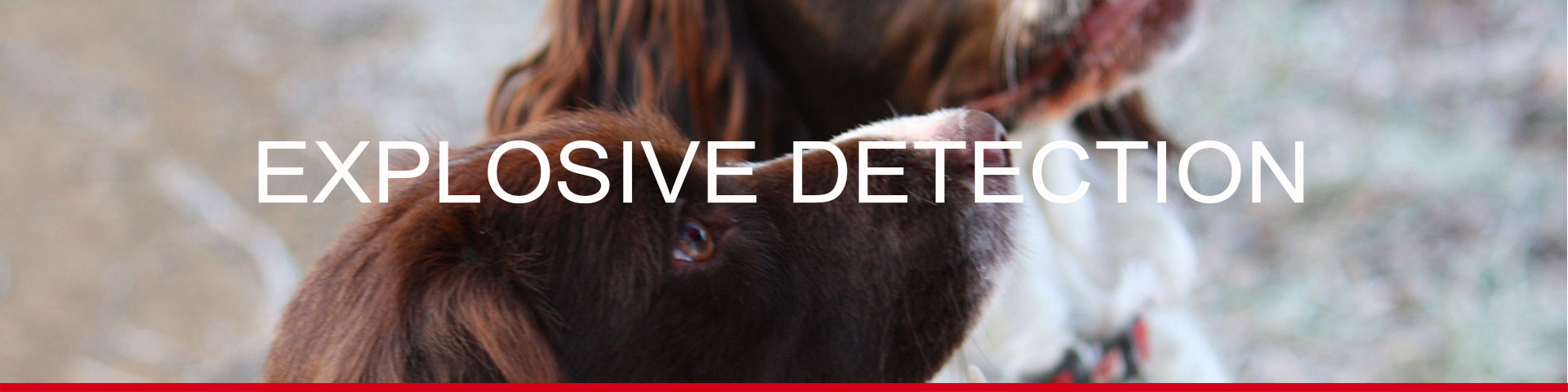 explosive detection